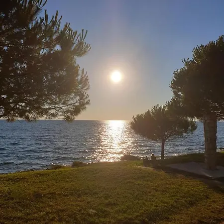 Πάρκο διακοπών Family Pineta 2*