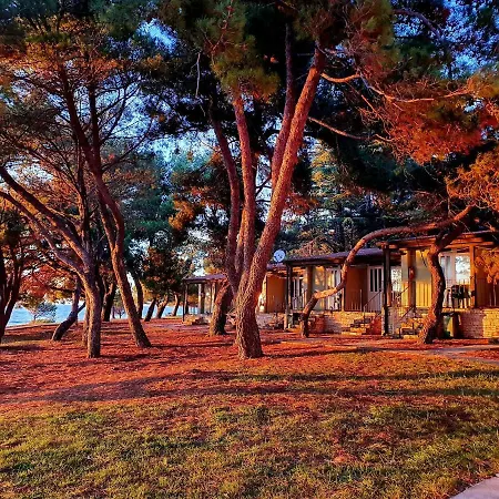 Family Pineta Πάρκο διακοπών 2*