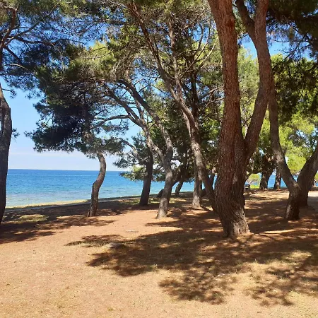 Family Pineta Prázdninový areál Novigrad Istria