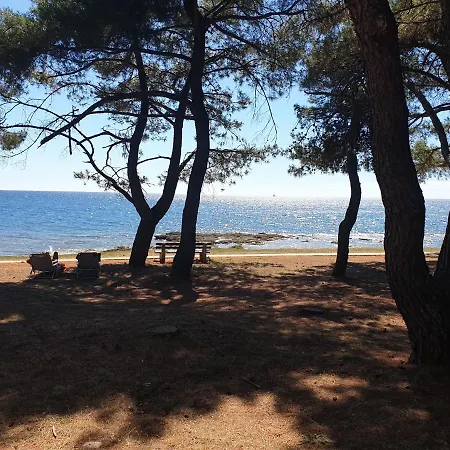 ホリデーパーク Family Pineta Novigrad Istria