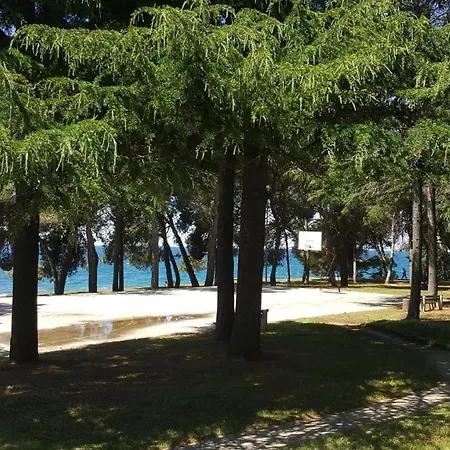 Family Pineta Prázdninový areál Novigrad Istria