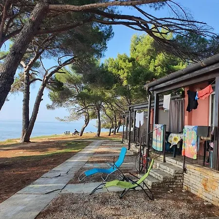 Family Pineta Prázdninový areál Novigrad Istria