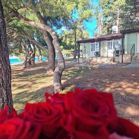 Family Pineta ホリデーパーク Novigrad Istria
