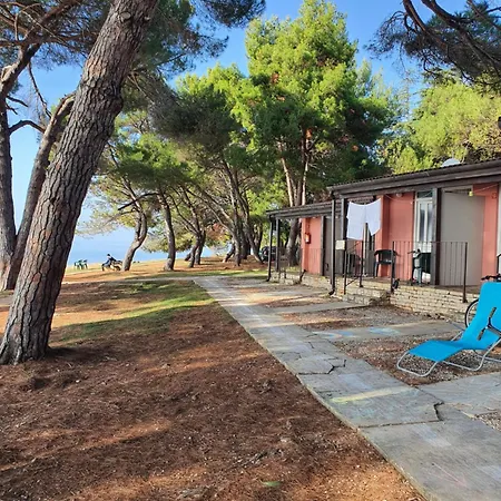 Family Pineta Prázdninový areál Novigrad Istria