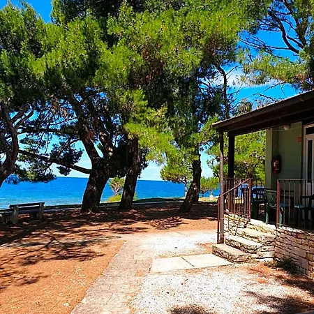 Family Pineta Parco vacanze Novigrad Istria