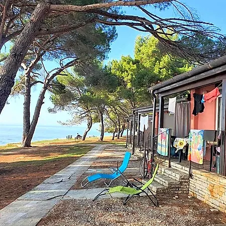 Family Pineta 2* Novigrad Istria
