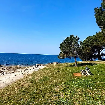 Family Pineta Parco vacanze