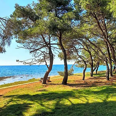 Family Pineta Parco vacanze Novigrad Istria