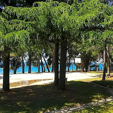 Family Pineta Novigrad Istria
