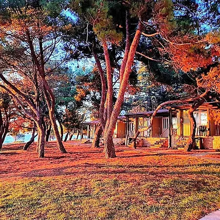 Family Pineta Parco vacanze Novigrad Istria