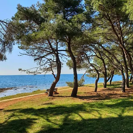 ホリデーパーク Family Pineta Novigrad Istria