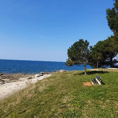 Family Pineta 2* Novigrad Istria