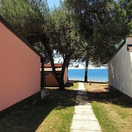 Family Pineta Prázdninový areál Novigrad Istria