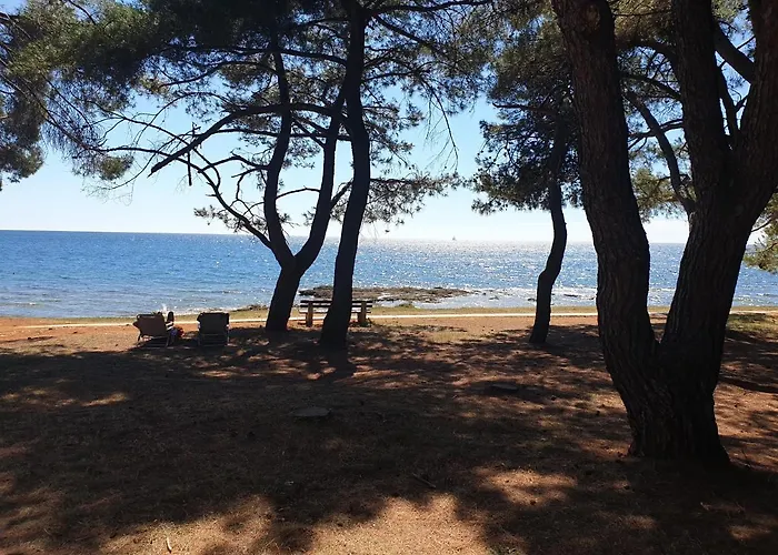 פארק נופש Family Pineta Novigrad Istria