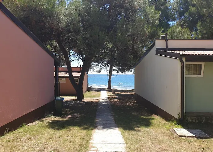 פארק נופש Family Pineta Novigrad Istria