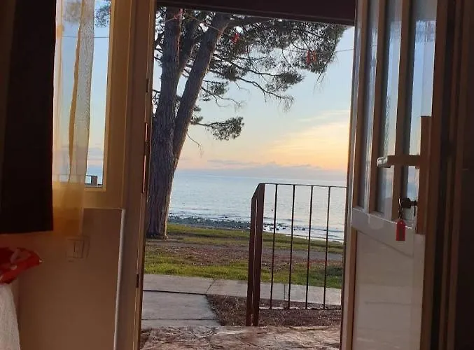פארק נופש Family Pineta Novigrad Istria