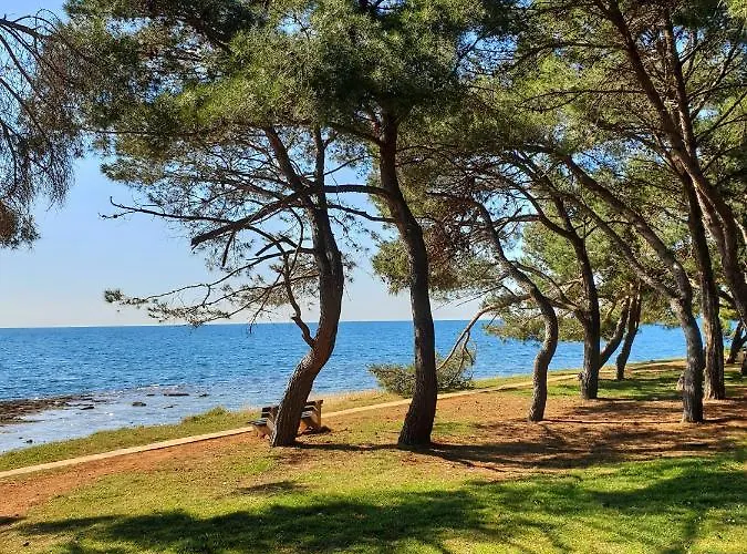 פארק נופש Family Pineta Novigrad Istria