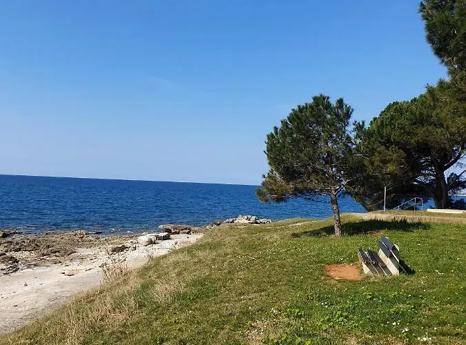 Family Pineta 2* Novigrad Istria